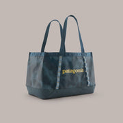 Sastrugi: Summit Blue