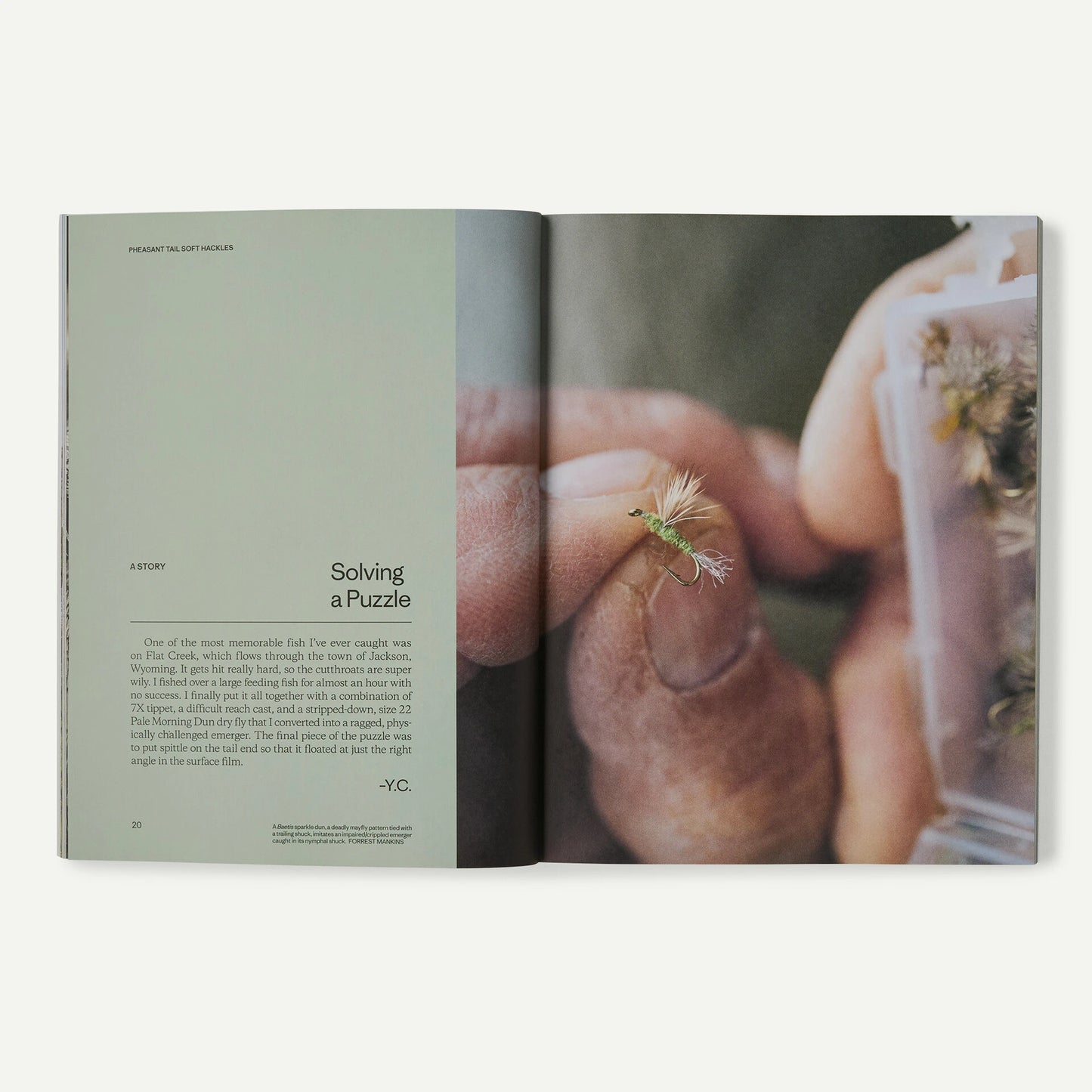 "Pheasant Tail Simplicity: Recipes and Techniques for Successful Fly Fishing" (by Yvon Chouinard, Craig Mathews, and Mauro Mazzo) - US 5664