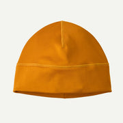 Autumn Orange