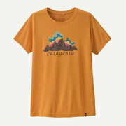 Dried Mango - Light Dried Mango X-Dye