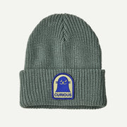 Curious Seal Patch: Cover Green